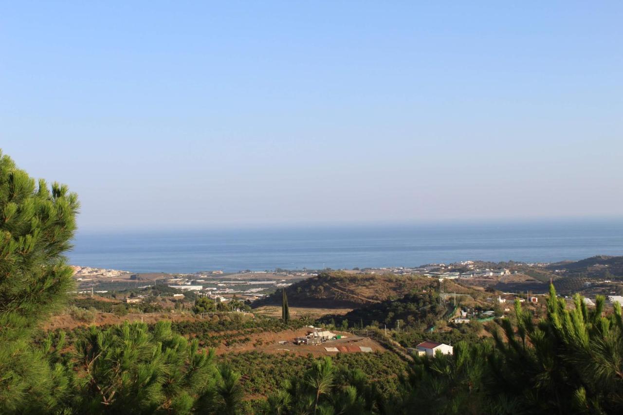 Finca La Vida Tranquila Velez Malaga Dış mekan fotoğraf