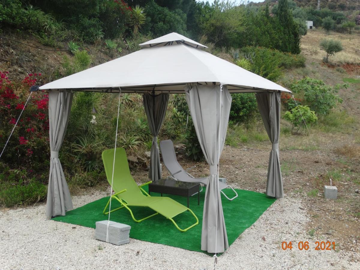 Finca La Vida Tranquila Velez Malaga Dış mekan fotoğraf